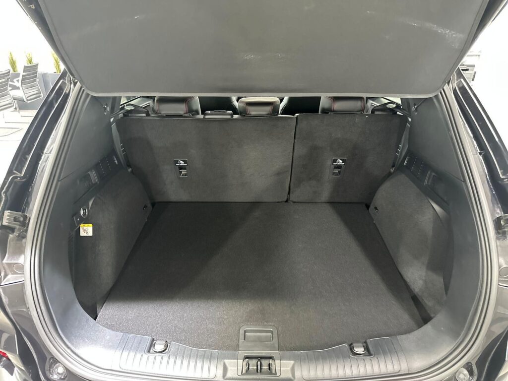 219a0de4-3dd0-4e2d-b861-6e2c6629f69drulemo-1600