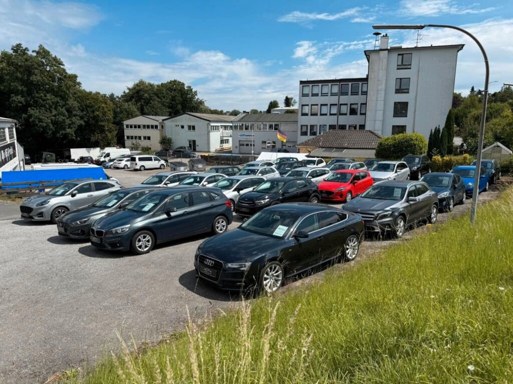 33f30c57-1d39-4142-8b8a-6d630a8a636erulemo-1600