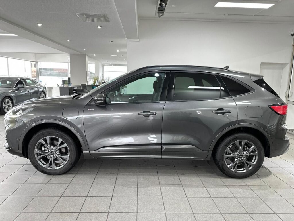 e9550eec-64a1-487a-8b13-f4411bd48f23rulemo-1600