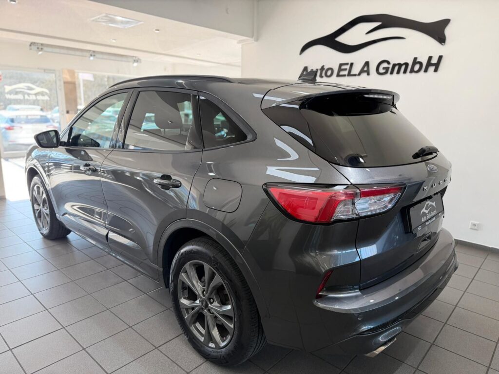 cc4e61d9-d83c-4529-9378-7a10a3c5ea14rulemo-1600