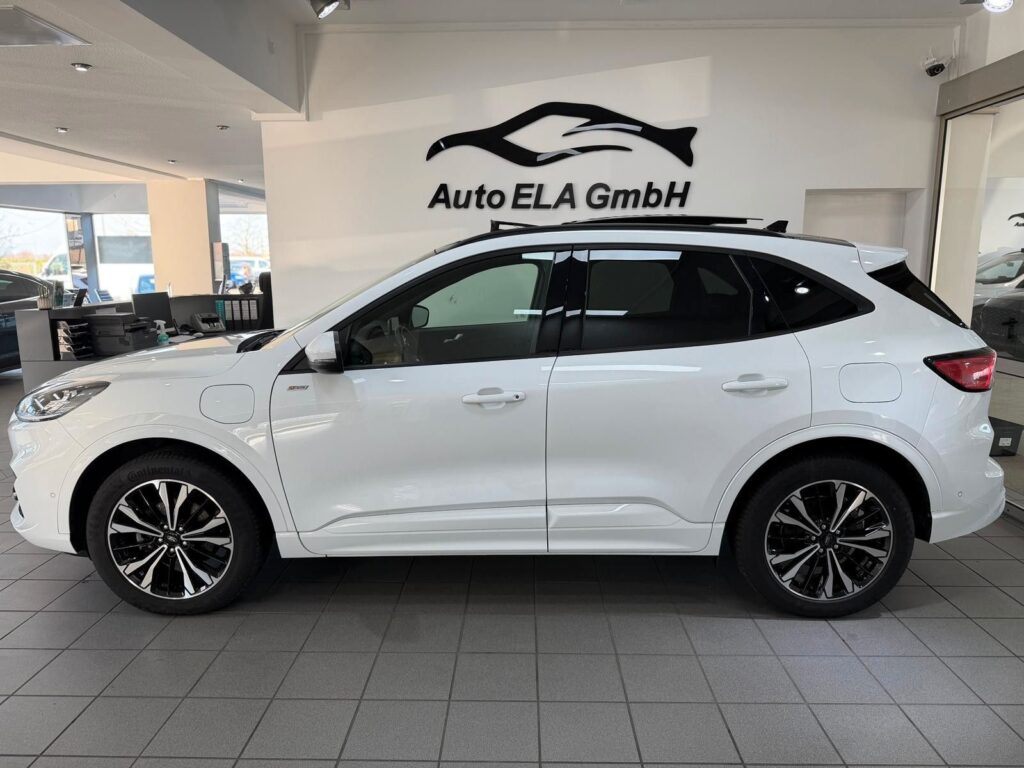 23a24e41-d2fc-46c9-aa73-55ba87444a43rulemo-1600