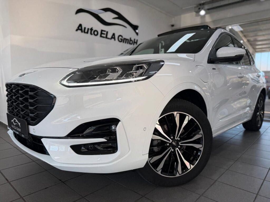 2e6f24dc-fb50-4bc5-aa05-a135934a8f61rulemo-1600