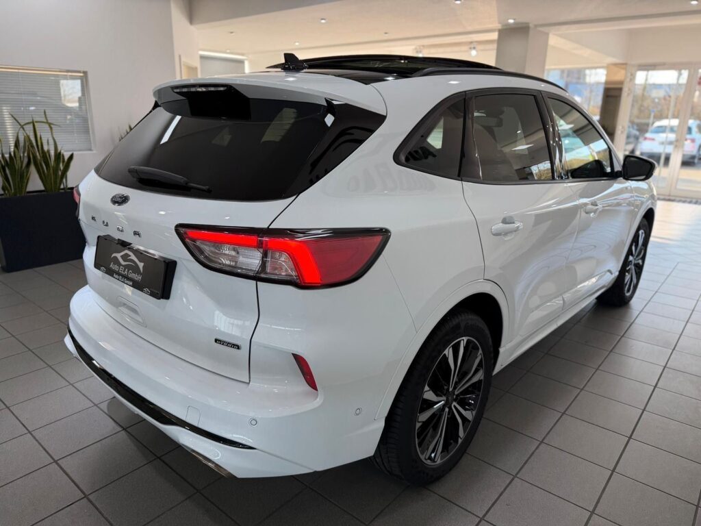 ffaa7e4c-2054-48fa-86c6-73e3b2c8f916rulemo-1600